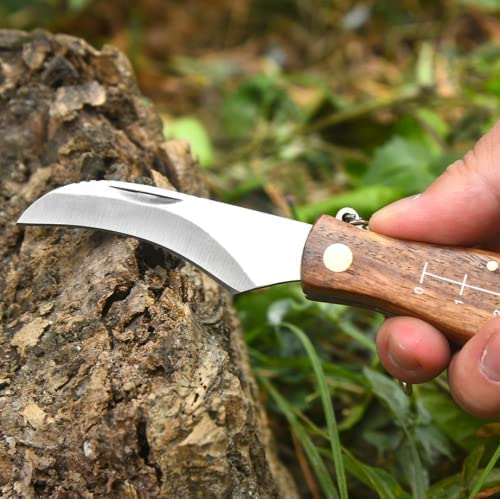 Mushroom Knife with Brush and Foraging Bag Kit